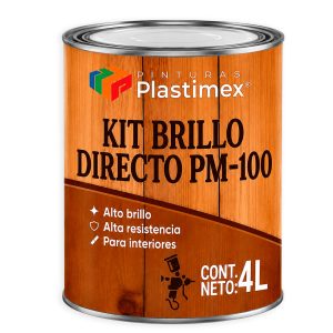 PROD-KIT_BRILLO-DIRECTOPM100